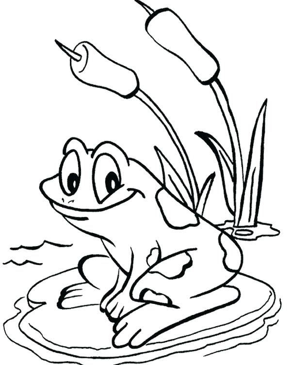 600x752 Coloring Pages Frog Frog Life Cycle Coloring Pages
