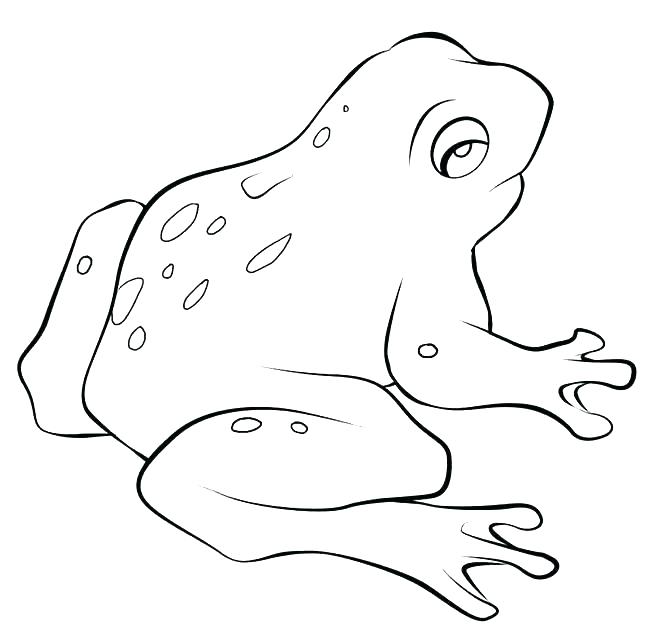 650x634 Great Frog Coloring Pages For Coloring Pages Printable With Fancy