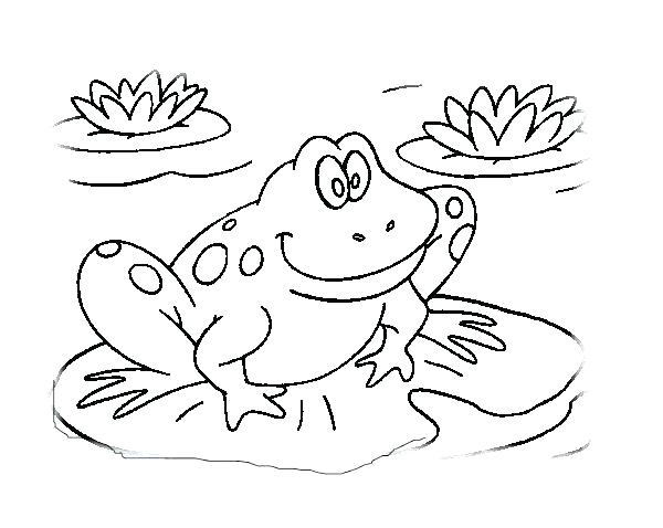 600x478 Red Eyed Tree Frog Coloring Page Tree Frog Coloring Page Frog