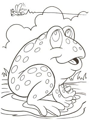 307x400 Frog Coloring Pages Colouring Pages Printables Pictures
