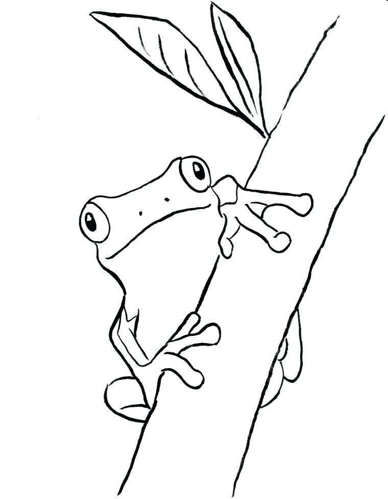 760x976 Bell Coloring Pages Print Frog Coloring Pages Stock Tree Frog