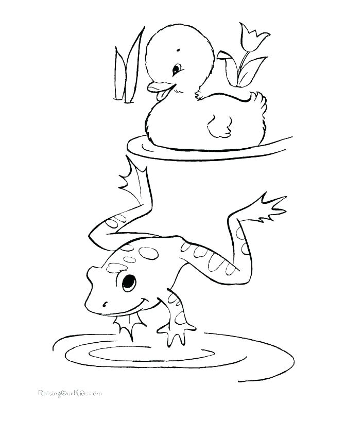 670x820 Frog Coloring Pages Cute Frog Coloring Pages Cute Frog Coloring