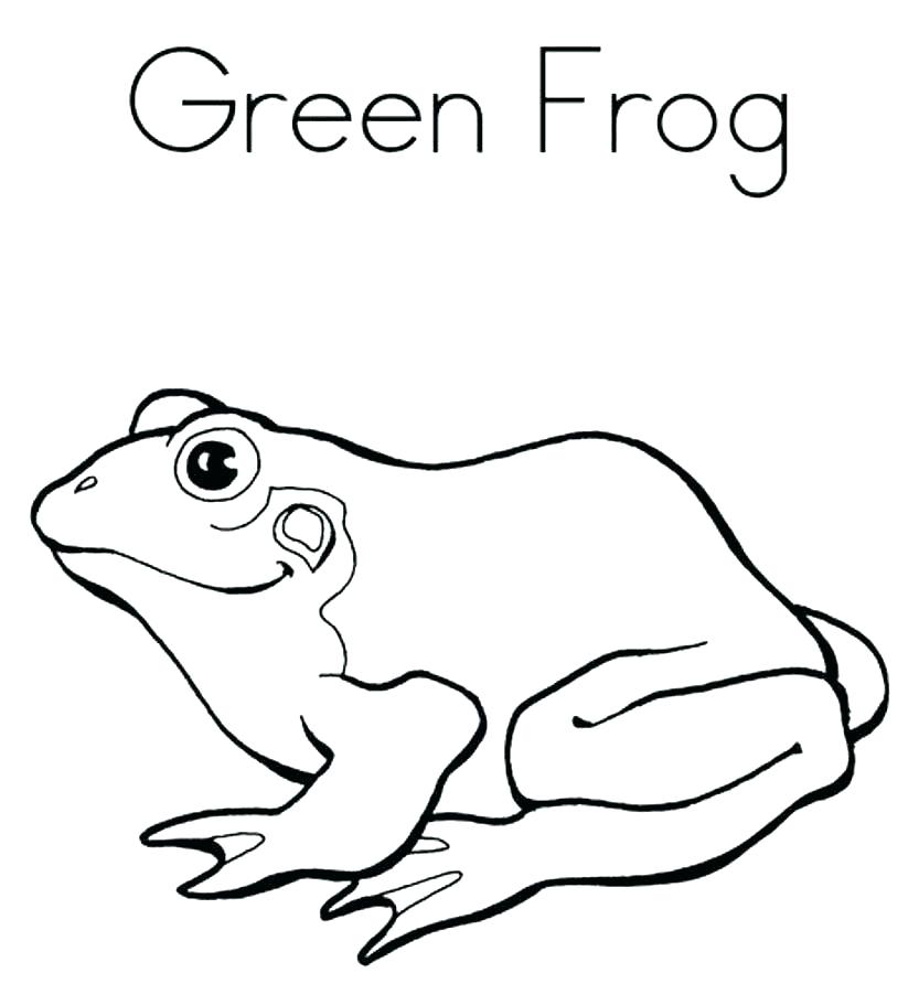 833x911 Frog Life Cycle Coloring Page This Is Frogs Coloring Pages