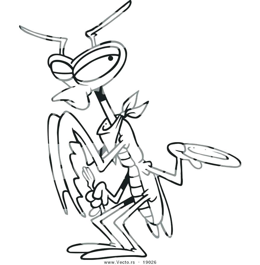 863x880 Life Cycle Coloring Pages Praying Mantis Coloring Page Coloring