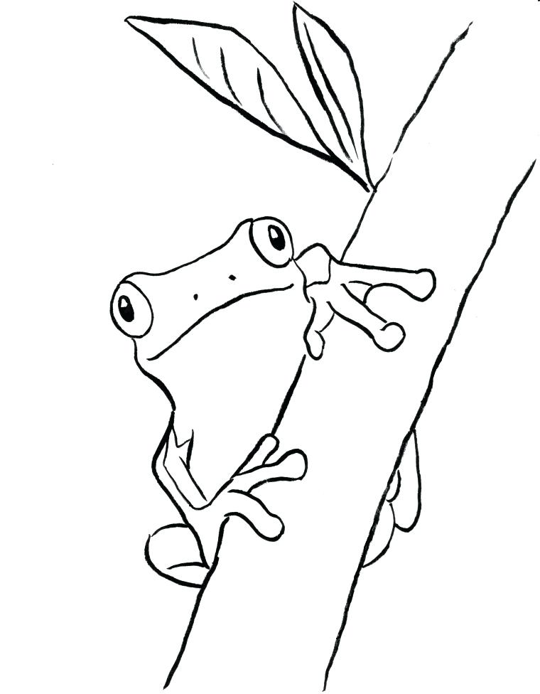 760x976 Coloring Pages Frog Tree Frog Coloring Page Frog Life Cycle