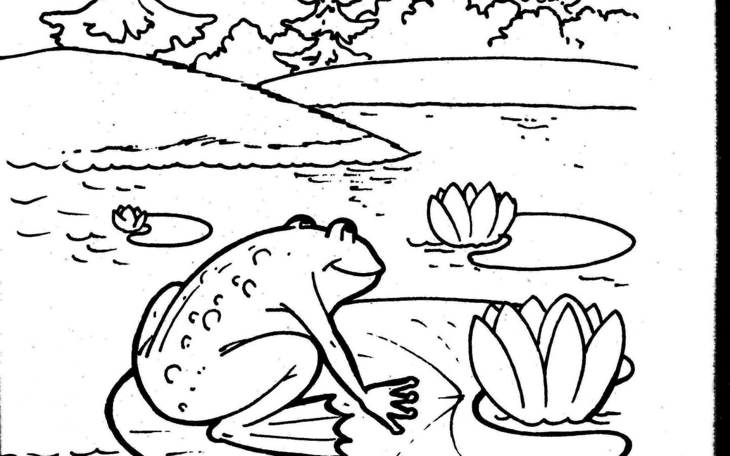 1440x900 Marvellous Coloring Frog Mask Page Life Cycle Of Animals Printable