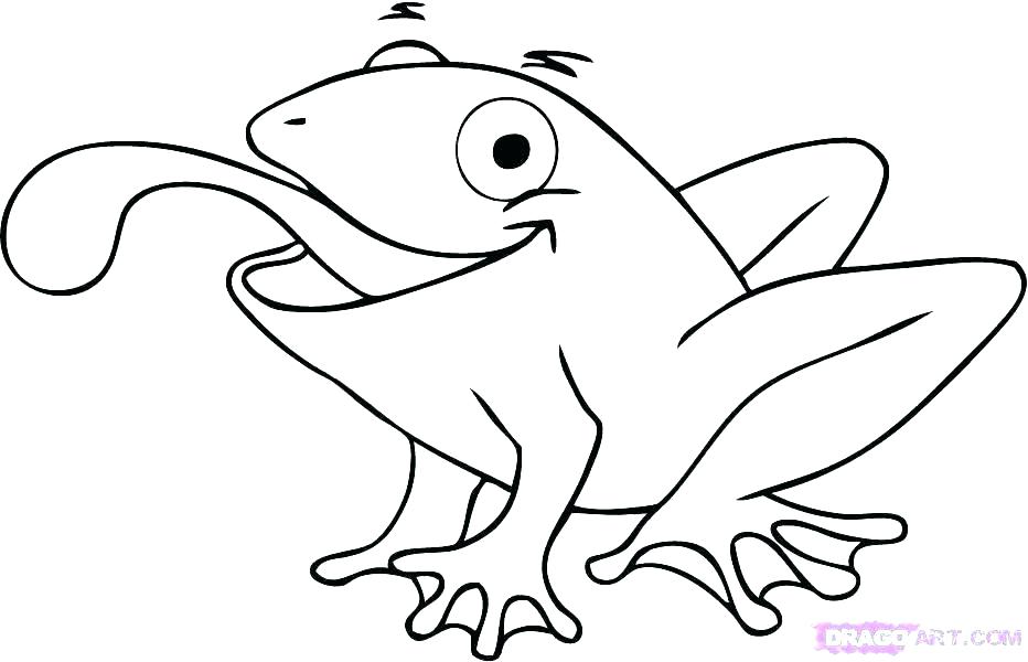 Frog Life Cycle Coloring Pages at GetDrawings | Free download