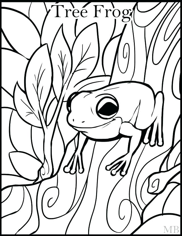 640x828 Frog Pictures To Color Frog Color Sheets Tree Frog Coloring Page