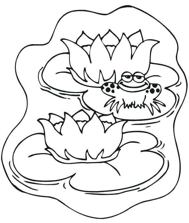 660x776 Frog Prince Coloring Page Clip Art Smiling Frog Over The Pond
