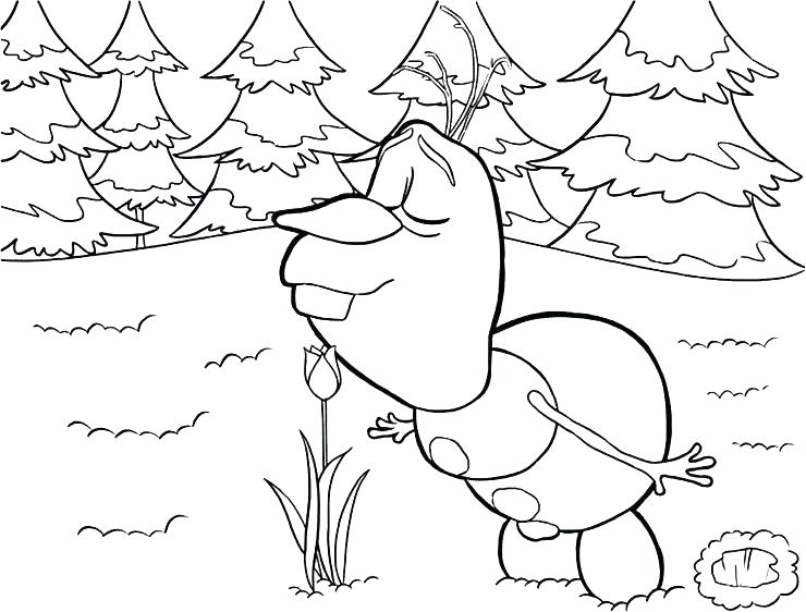 740x562 Olaf Coloring Pages Coloring Sheet Coloring Pages Coloring Pages