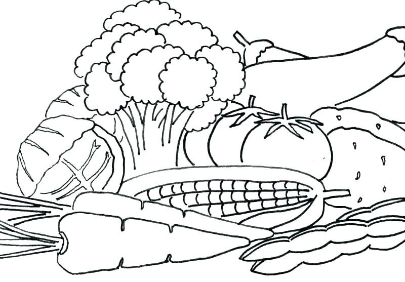 800x557 Interesting Decoration Vegetable Coloring Pages Fruit