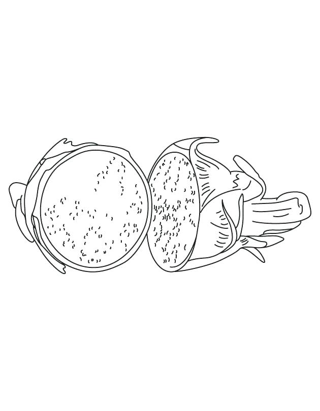630x810 Fruit Bat Coloring Page Printable Coloring Dragon Fruit Coloring