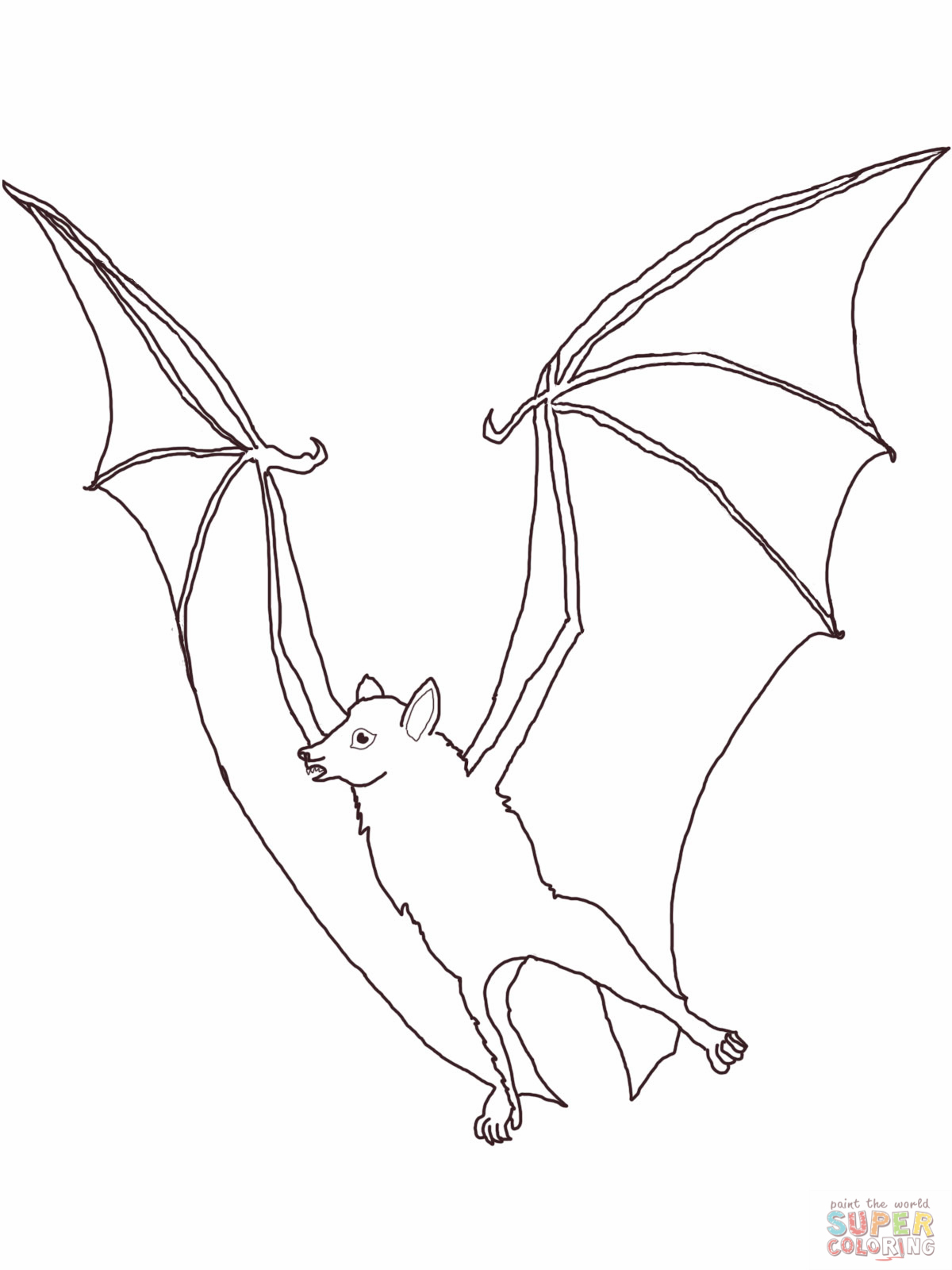 1200x1600 Fruit Bat Coloring Page Fruit Bats Bats