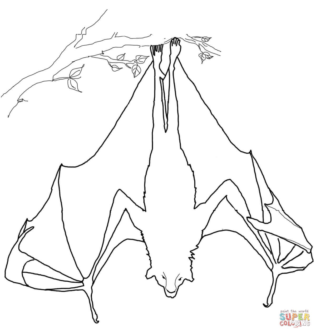 1200x1264 Promising Bats Coloring Pages Bat Preschool Best Of Surprising