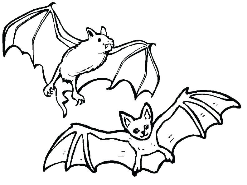 792x595 Bat Coloring Page Free Coloring Pages Bats Coloring Pages Bats