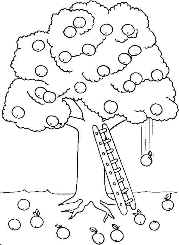 600x820 Coloring Page Tree Fall Trees Coloring Pages Tree Of Life Apple