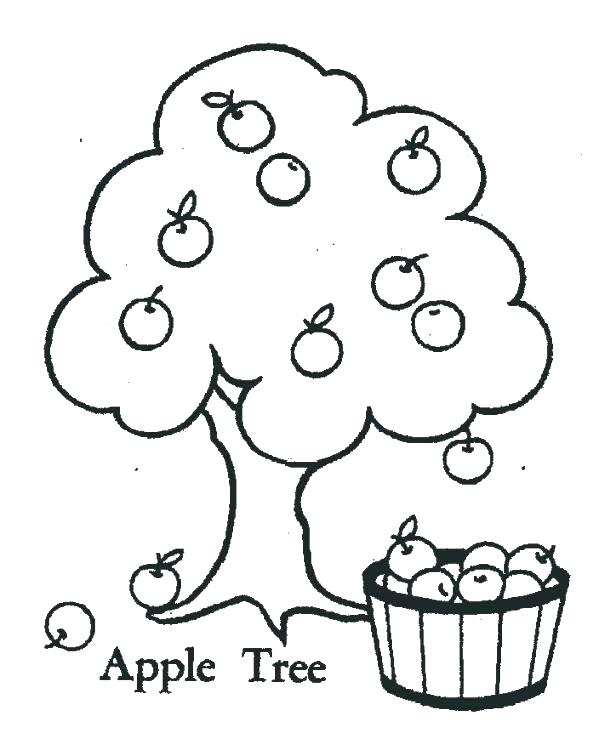 599x739 Coloring Pages Apple Leaf Coloring Page Apple Tree Coloring Page