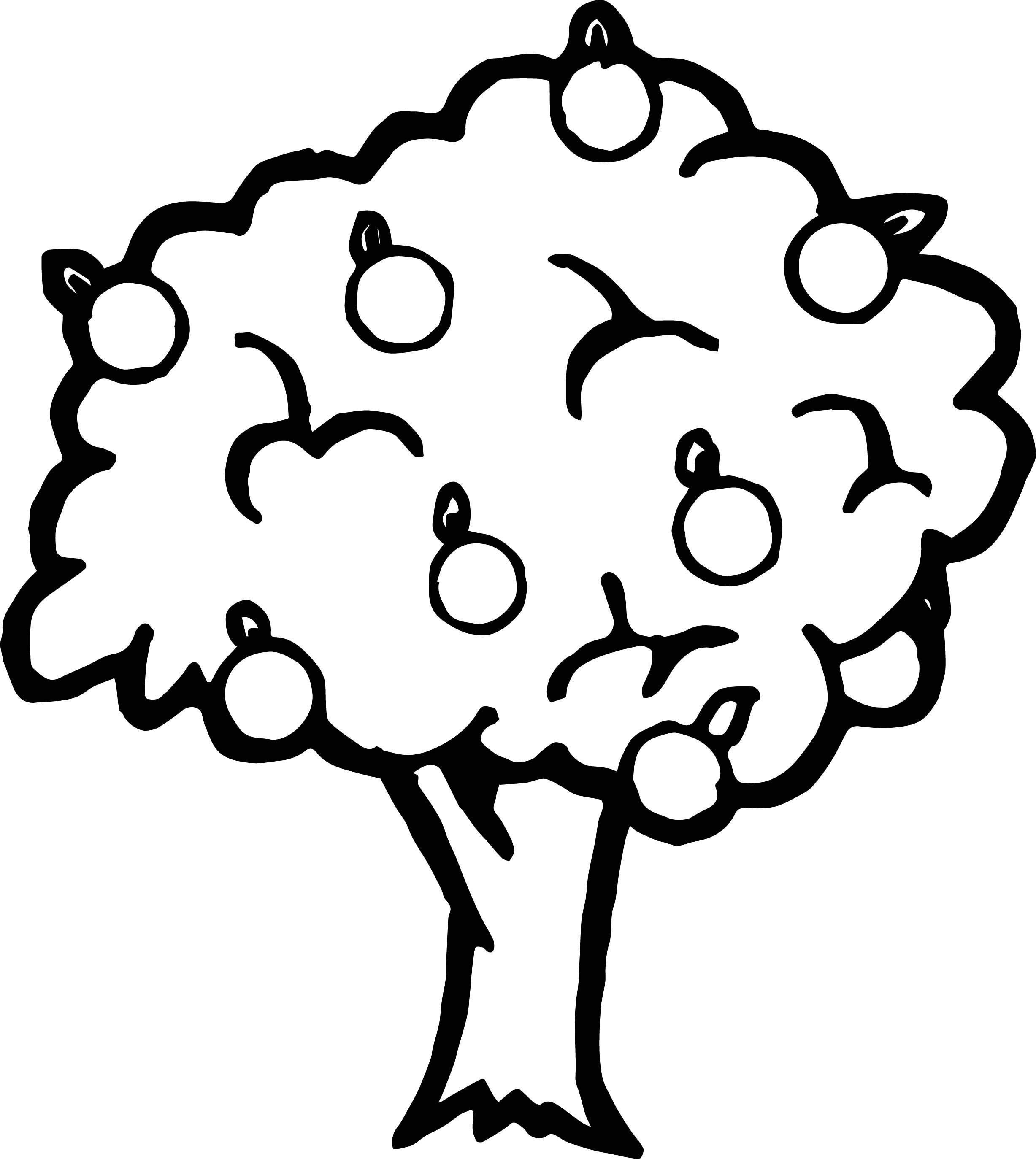 2455x2747 Apple Tree Coloring Page Free Coloring