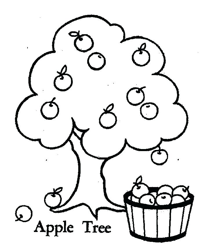 704x869 Apple Tree Coloring Page Plain Ideas Tree Coloring Page Coloring