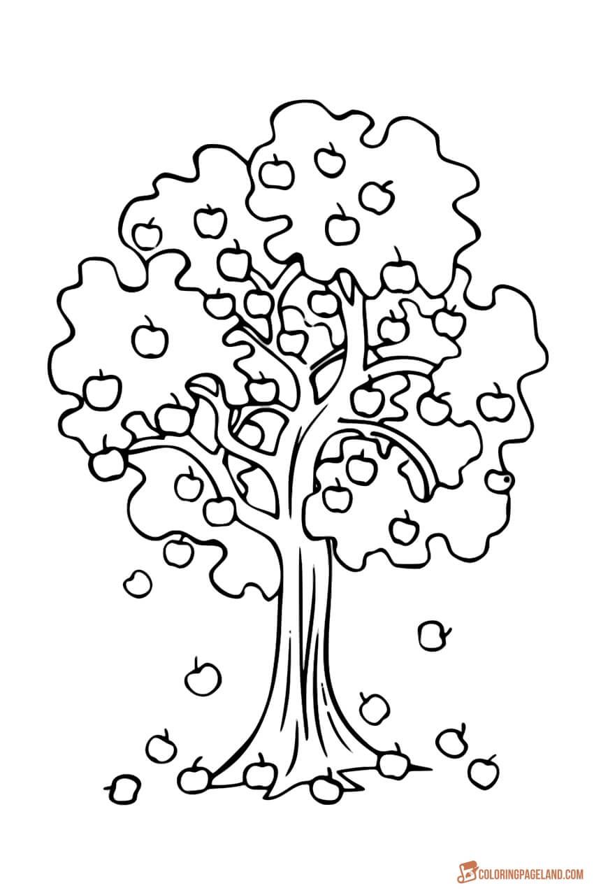 870x1280 Apple Tree Coloring Pages