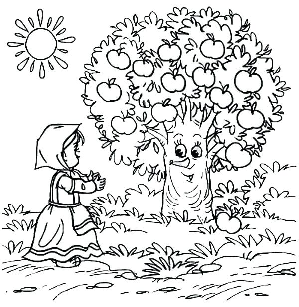 600x617 Apple Tree Coloring Pages Coloring Pages Apple Tree Best