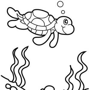 300x300 Fried Egg On Frying Pan Coloring Pages