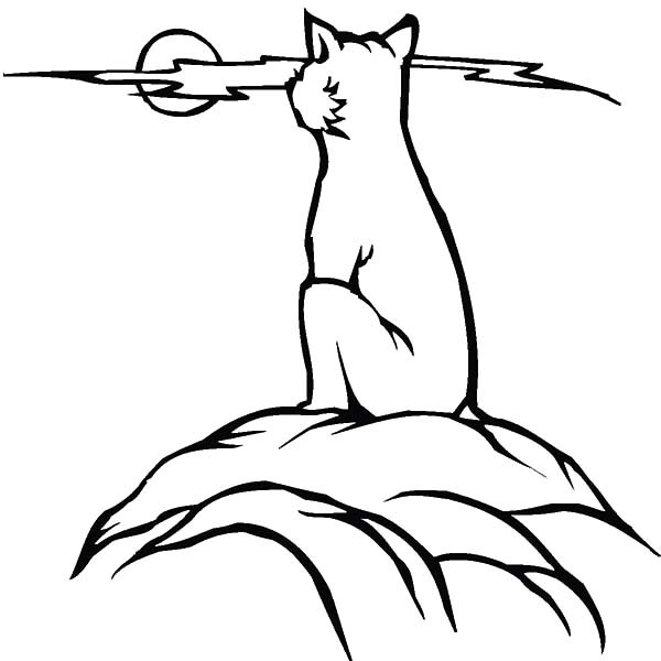 600x600 Bobcat Watching Full Moon Coloring Pages Best Place To Color