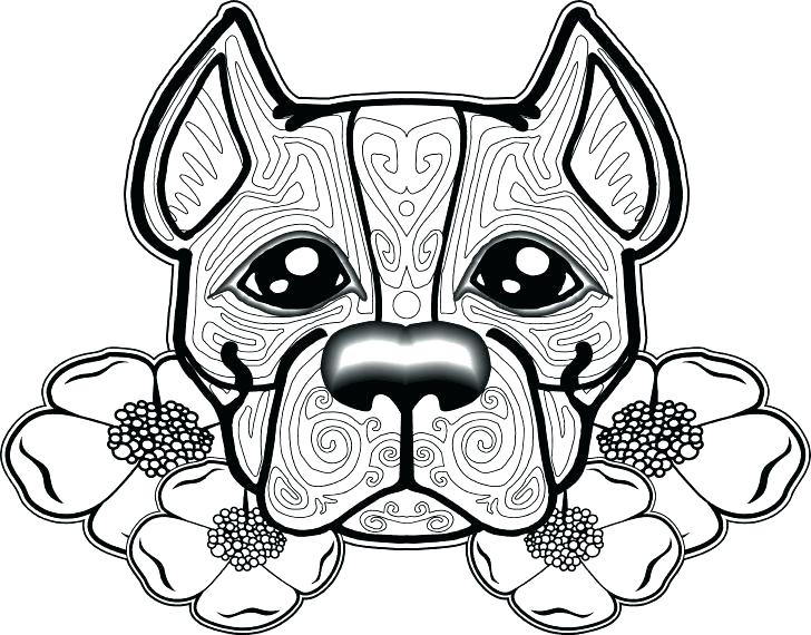 728x570 Pitbull Coloring Page Coloring Page Medium Size Of Coloring Pages