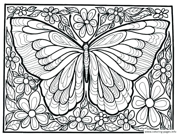618x465 Coloring Pages Of Butterflies For Adults Pages Butterfly Garden