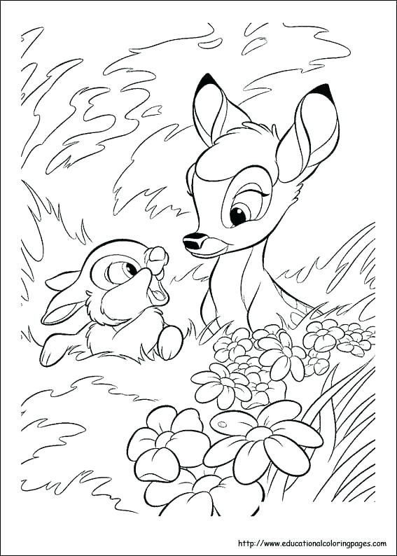 567x794 Educational Coloring Pages