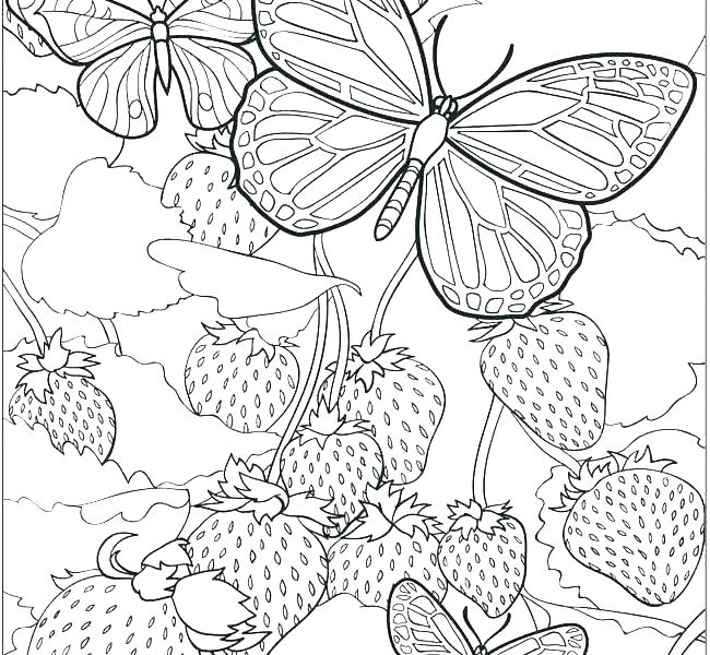 650x600 Coloring Pages For Older Kids Fun Printable Coloring Sheets Free