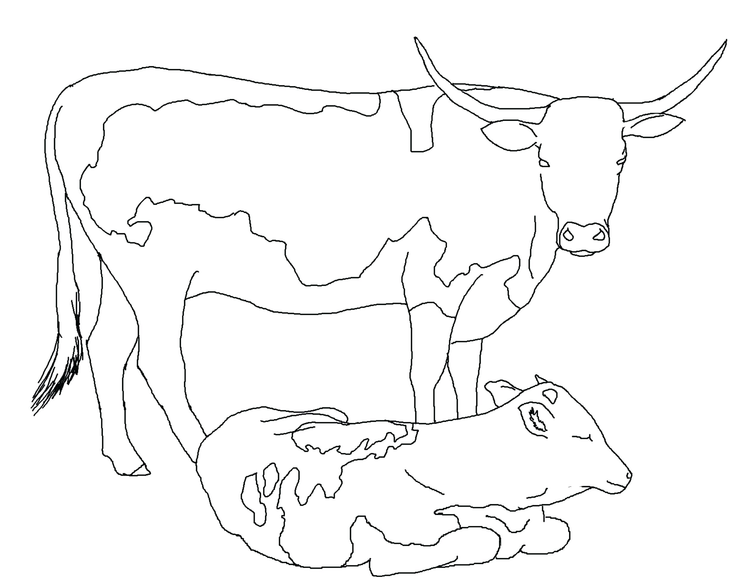 2508x1952 Fun To Draw Coloring Sheets Cow Pages Free How Page Printable