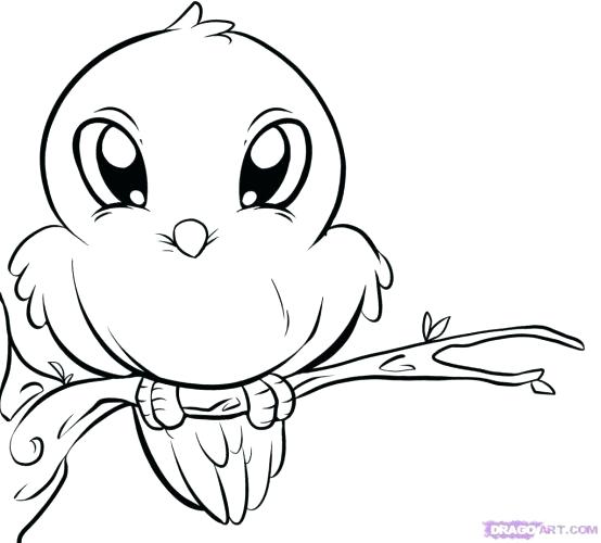 554x500 Printable Coloring Pages For Kids Coloring Pages Coloring
