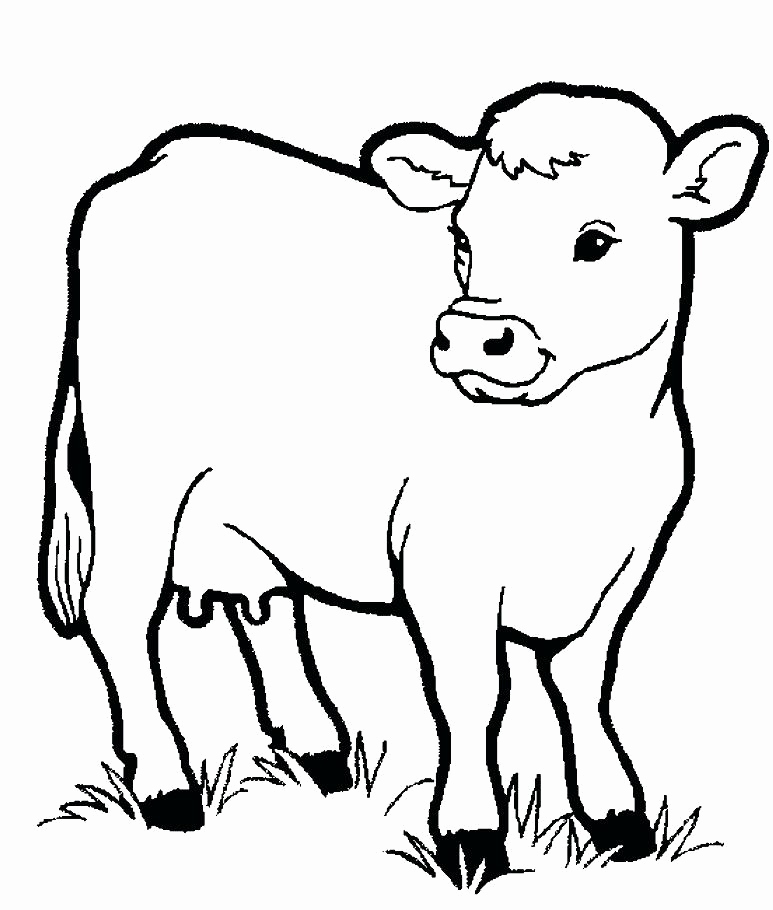 773x910 Funny Animal Coloring Pages Collection Farm Animal Coloring Sheets
