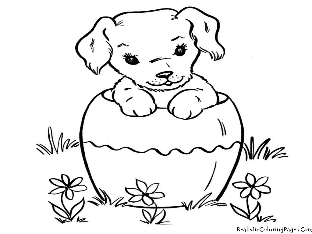 1024x768 Dog And Cat Coloring Pages Free Coloring