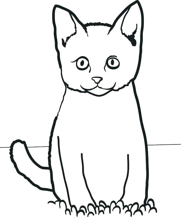 584x700 Funny Cat Coloring Pages Cat Coloring Sheets For Adults Pages