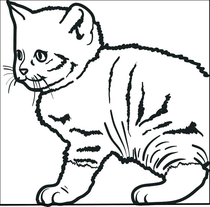 700x688 Funny Cat Coloring Pictures Cute Kitty Pages Page For Kids Dog