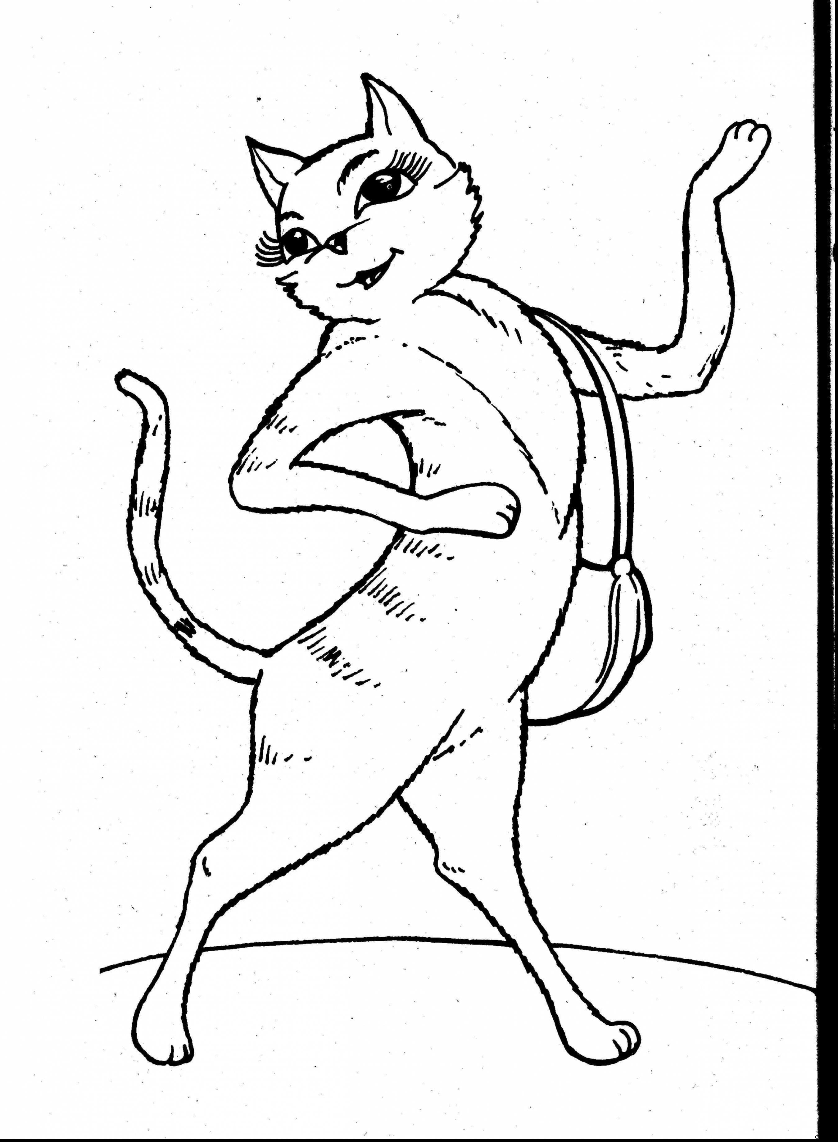 2699x3677 Cute Cat Coloring Pages Two Cats Adult Funny