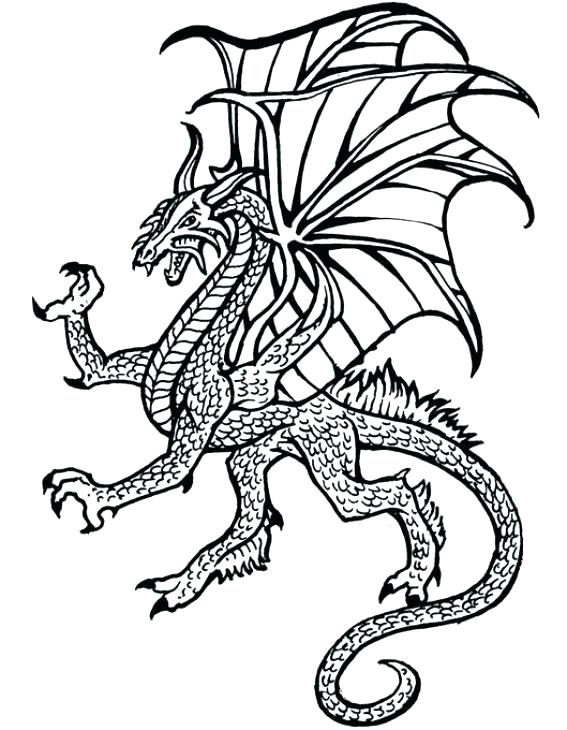 567x730 Real Dragon Coloring Pages Beautiful Real Dragon Ring Pages Image