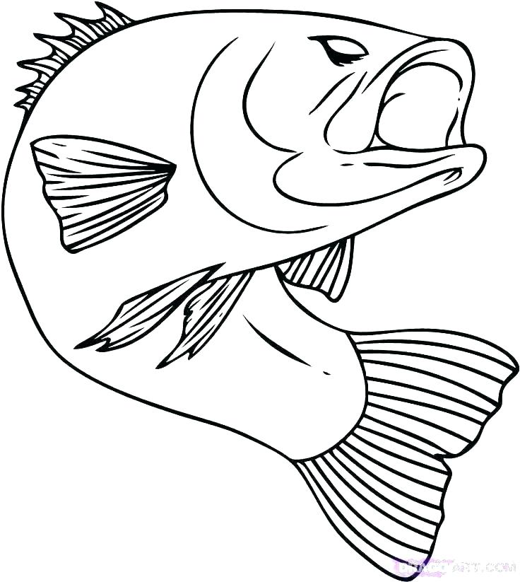 736x823 Fish Coloring Pictures Coloring Funny Fish Coloring Page