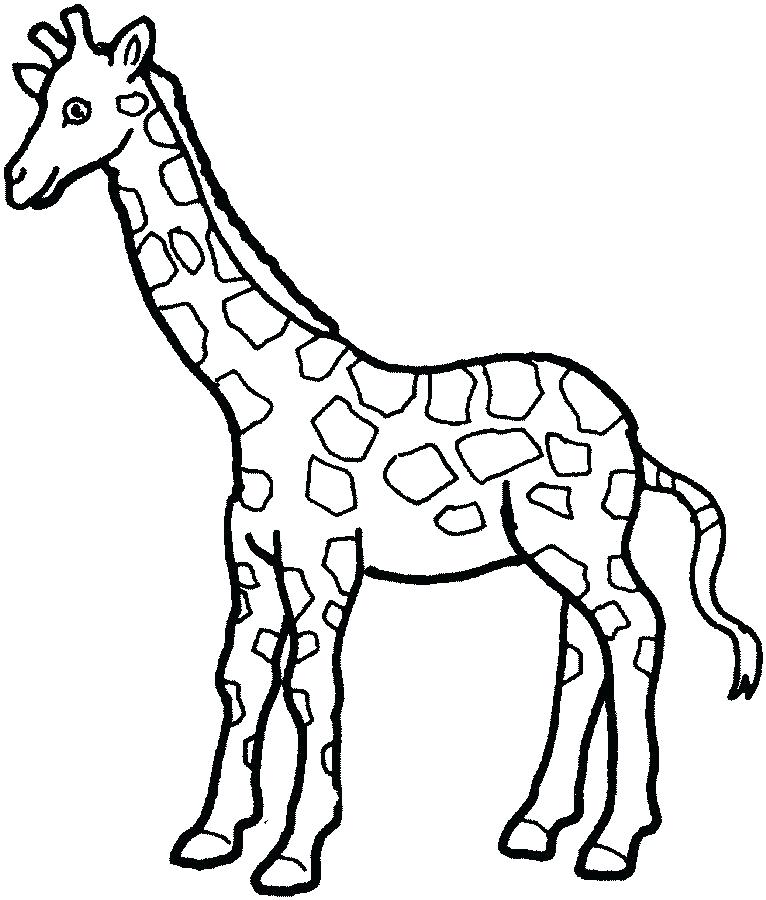 766x900 Coloring Pages Of Giraffes Giraffe Coloring Pages For Adults Funny