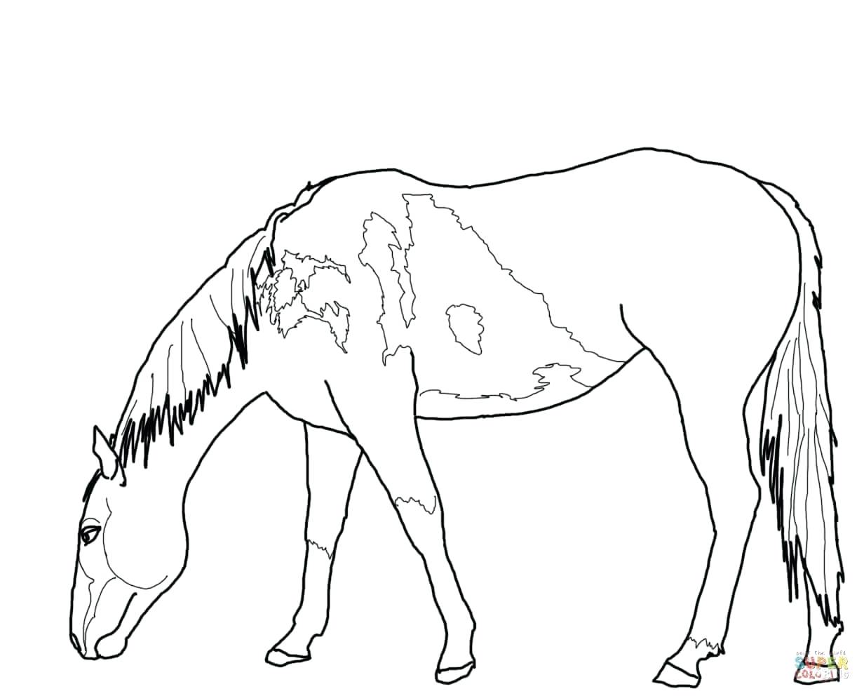 1232x992 Coloring Pages Online Printable Wild Horses Funny Horse Running