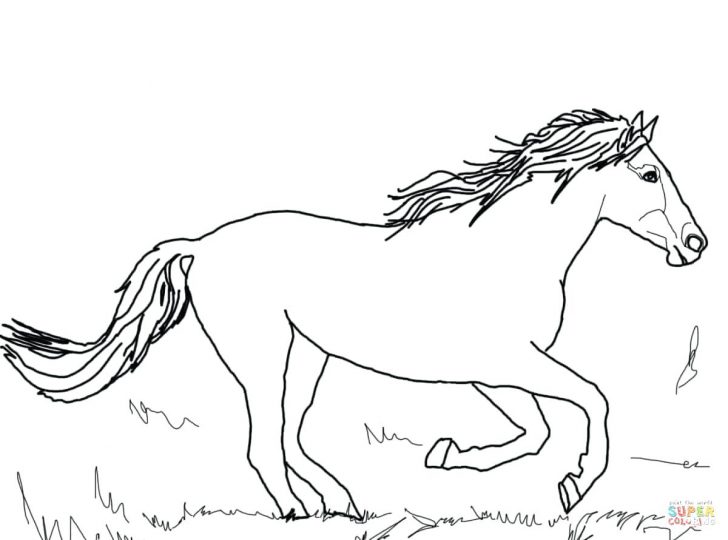 728x540 Funny Horse In Horses Coloring Page Wild Pages To Print Mustang