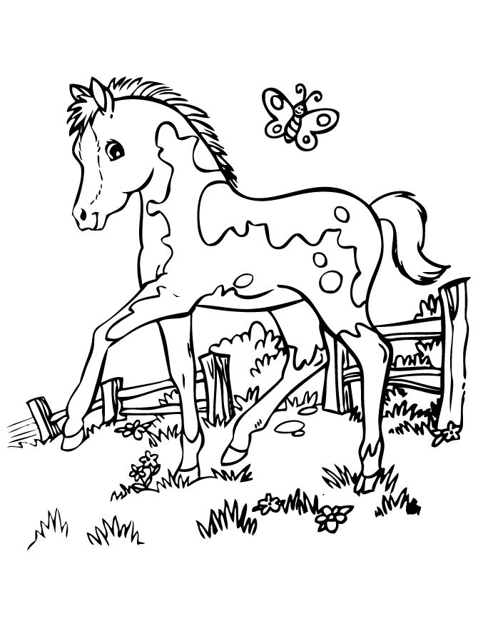 670x867 Baby Horse Coloring Pages