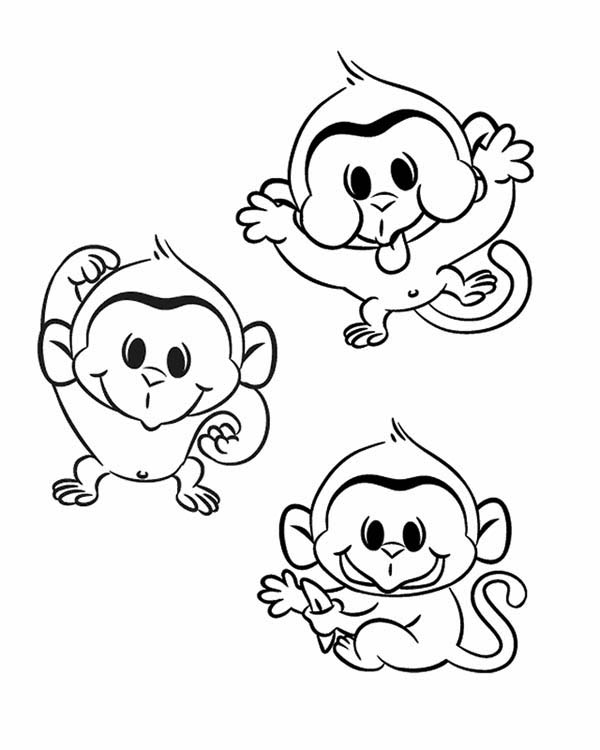 600x750 Three Funny Monkey Coloring Page