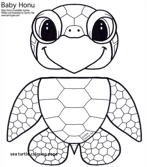 576x653 Turtle Coloring Pages For Kids Printable Funny Coloring For Sea
