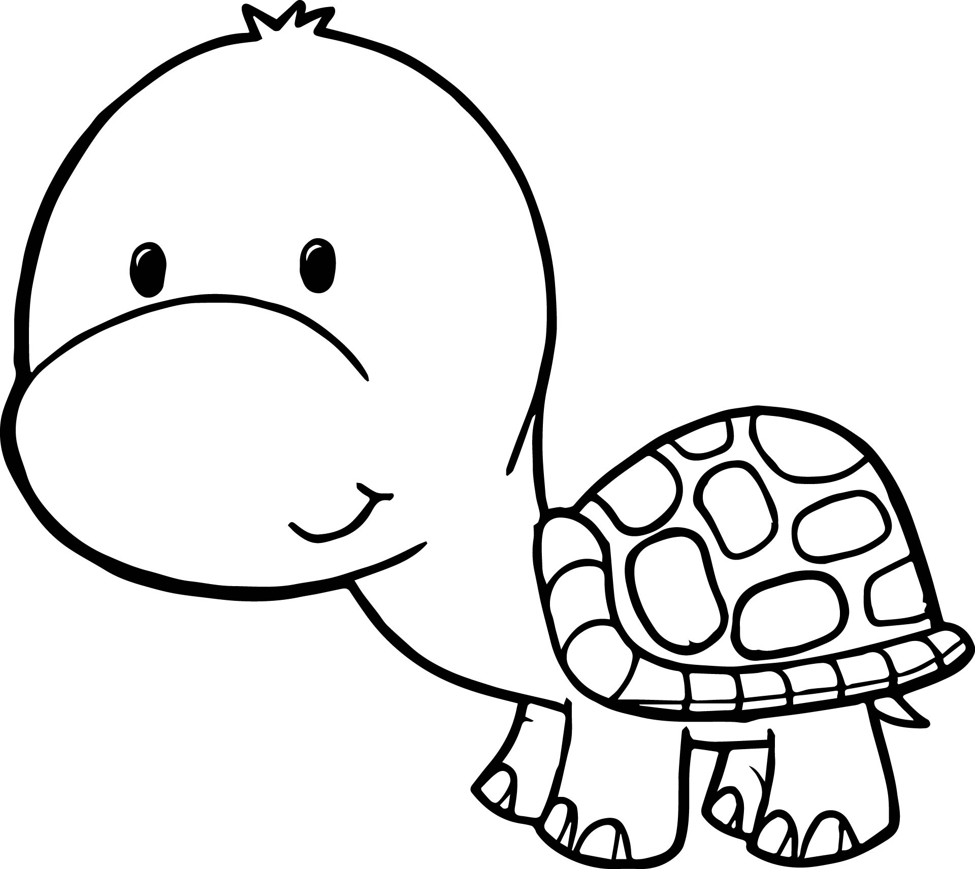 1920x1711 Cartoon Turtle Coloring Pages Cartoon Turtle Coloring Pages Cute