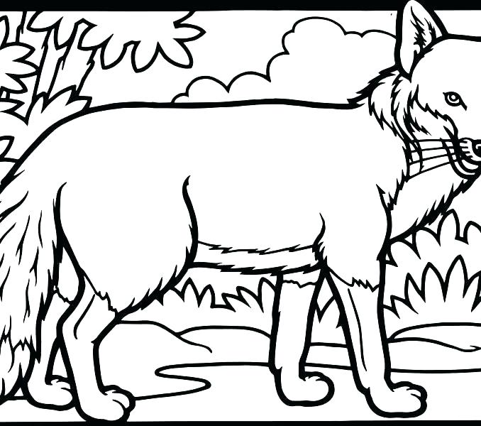 678x600 Coloring Red Fox Coloring Pages Cute Furry Colouring Disney Pdf