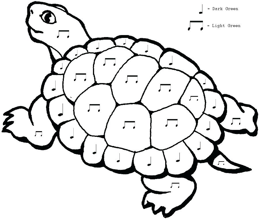 900x762 Tortoise Coloring Page Check Out New Work On My Portfolio Dim Sum