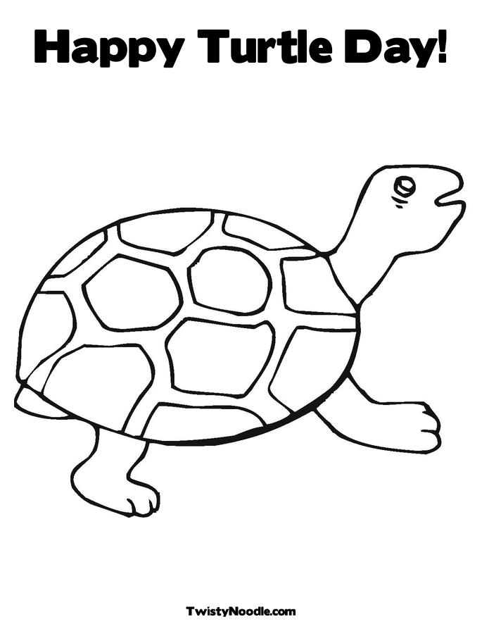 685x886 Cute Turtle Coloring Pages Many Interesting Cliparts